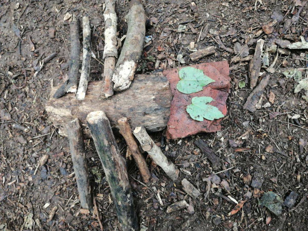 Naturtheatertage – Insekt